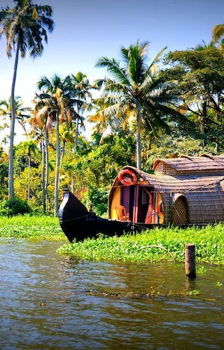 Houseboat-through-the-reeds-in-Kerala